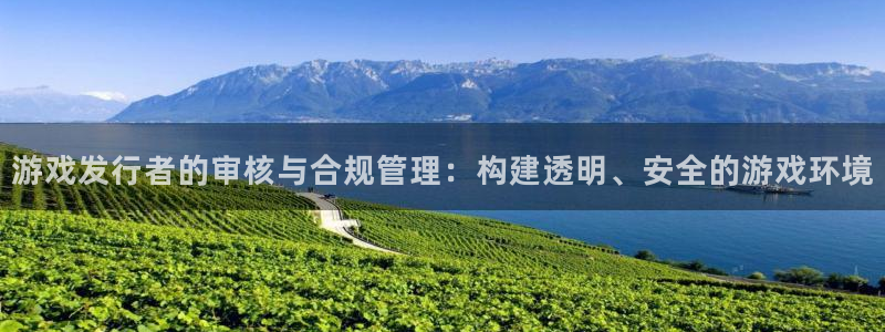 蓝图娱乐官网男装品牌：游戏发行者的审核与合规管理：构建透明、安全的游戏环境
