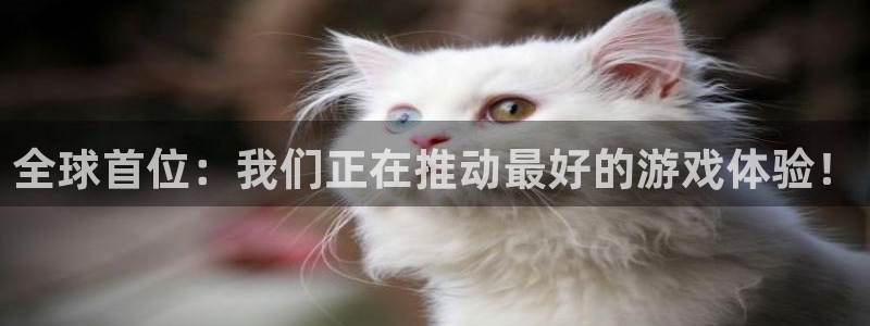 蓝图娱乐解绑银行卡怎么操作