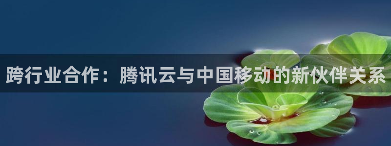 蓝图娱乐官网电商怎么样知乎：跨行业合作：腾讯云与中国移动的新伙伴关系