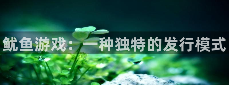 蓝图娱乐登录注册账号安全吗安全吗：鱿鱼游戏：一种独特的发行模式