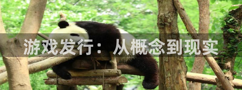 蓝图娱乐官网超纯啤酒怎么样：游戏发行：从概念到现实